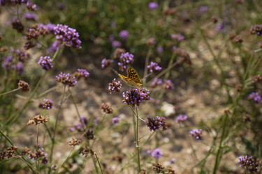 Similar image 22334346