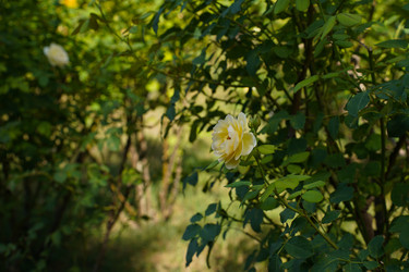 Similar image 22334347