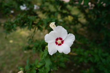 Similar image 22334349