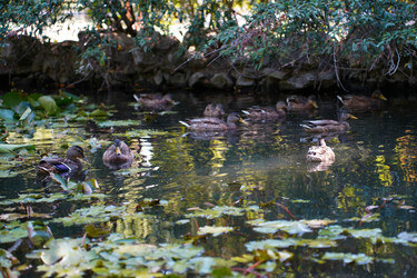 Similar image 22334351