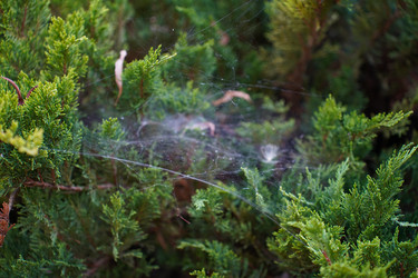 Similar image 22334352