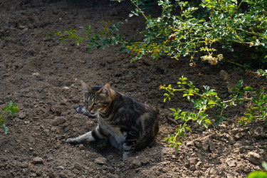 Similar image 22334354