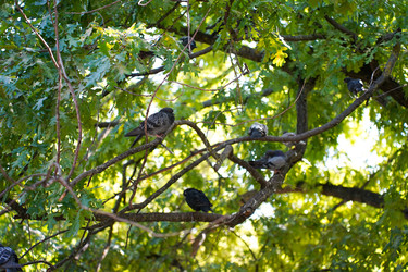 Similar image 22334357