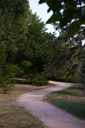 Similar image 22334358