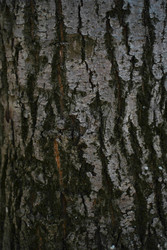 Similar image 22334359