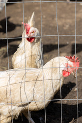 Similar image 22341313