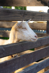 Similar image 22341314