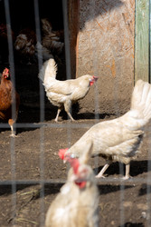 Similar image 22341315