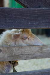 Similar image 22341054