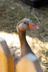 Similar image 22341055