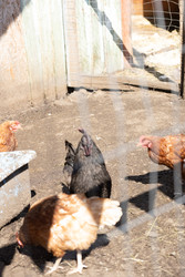 Similar image 22341056