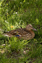 Similar image 22341065