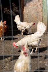 Similar image 22341075