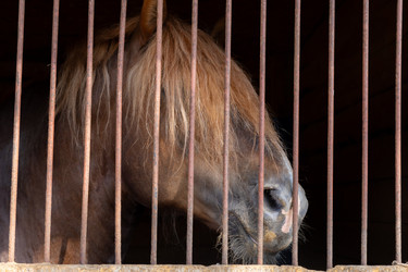 Similar image 22341076