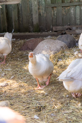 Similar image 22341077