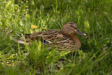 Similar image 22341090