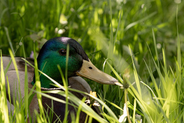 Similar image 22341091