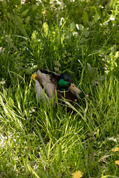 Similar image 22341092