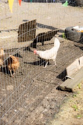 Similar image 22341096