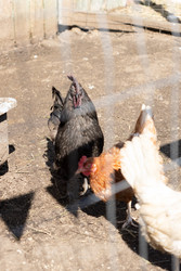 Similar image 22341097