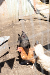 Similar image 22341100