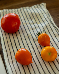 Similar image 22341101