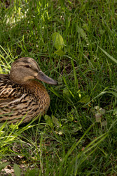 Similar image 22341116