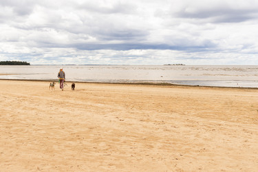 Similar image 22341210