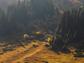 Similar image 22340521