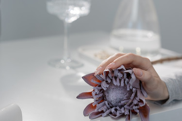 Similar image 22340524