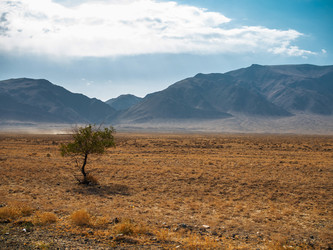 Similar image 22340525