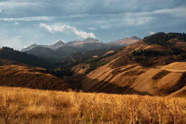 Similar image 22340532