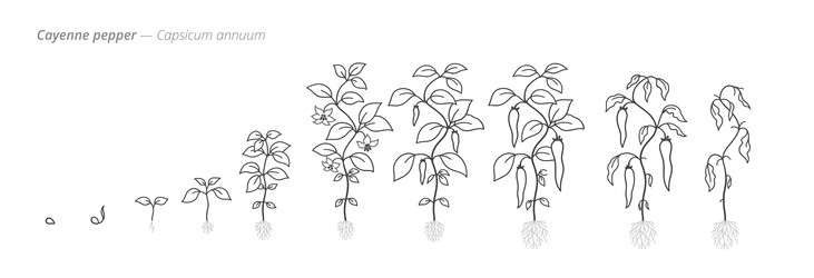 Similar image 22334469