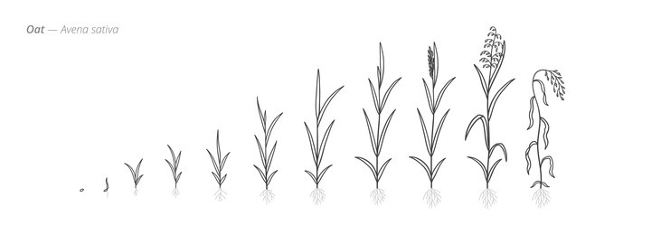 Similar image 22334470