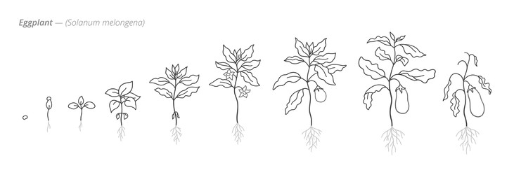 Similar image 22334471