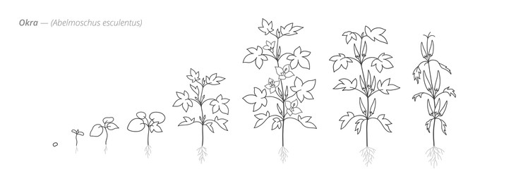 Similar image 22334472