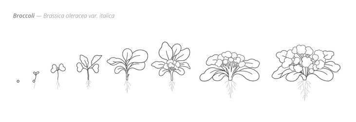 Similar image 22334474