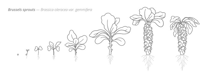 Similar image 22334476