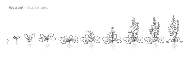 Similar image 22334477