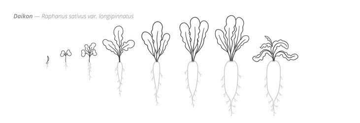 Similar image 22334478