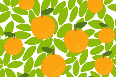 Similar image 22334486