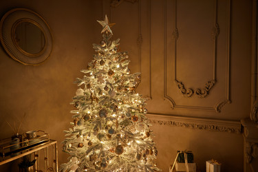 Similar image 22338242