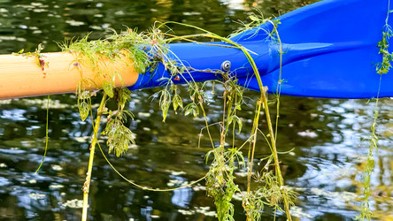 Similar image 22340756