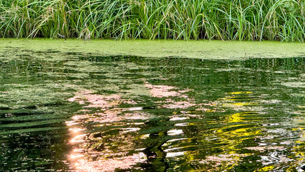 Similar image 22340757