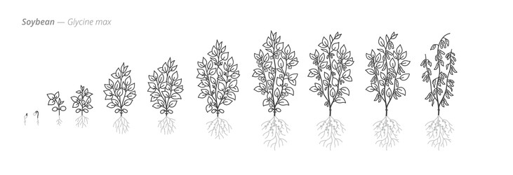 Similar image 22334491