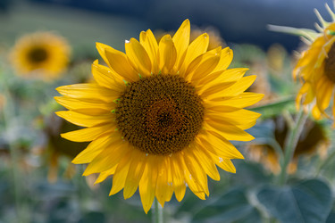 Similar image 22340294