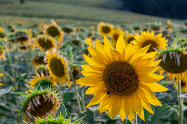 Similar image 22340334