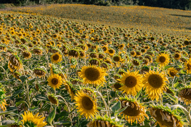 Similar image 22340335