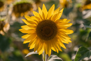 Similar image 22340336