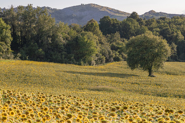 Similar image 22340337